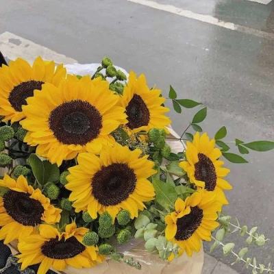 皇冠新体育APP下载手机版