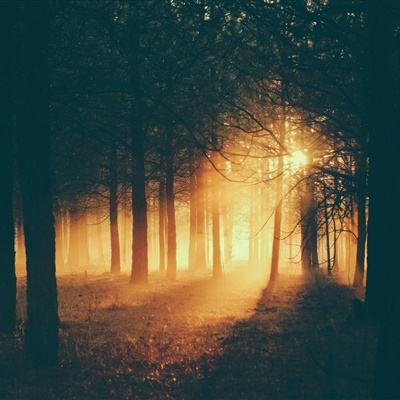 新宝十大登录平台截图