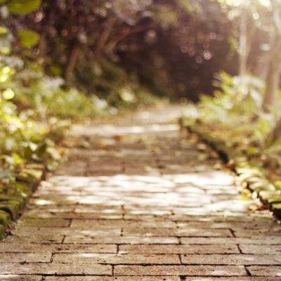 2023年新澳门今晚开特马下载手机版